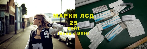 spice Богородицк